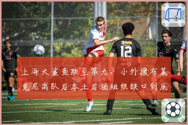 上海大鲨鱼跌至第九，小外援布莱克尼离队后本土后场组织缺口到底谁能补上？