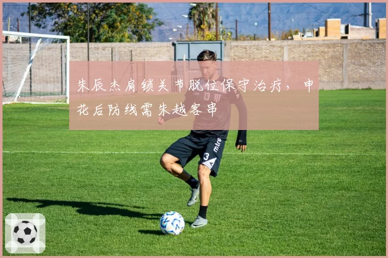 朱辰杰肩锁关节脱位保守治疗,申花后防线需朱越客串