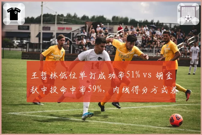 王哲林低位单打成功率51% vs 胡金秋中投命中率59%，内线得分方式差异如何左右转会市场