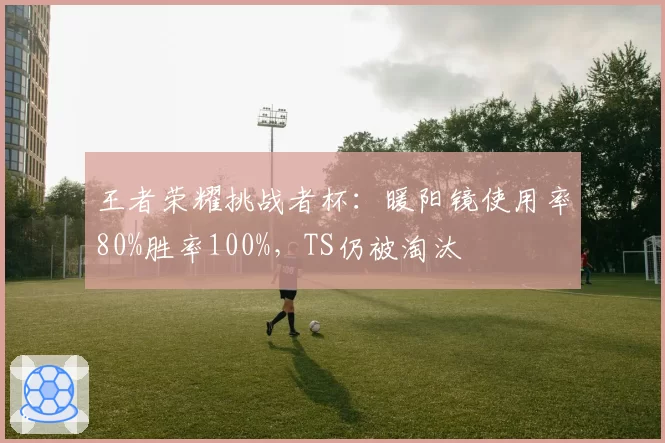 王者荣耀挑战者杯：暖阳镜使用率80%胜率100%，TS仍被淘汰