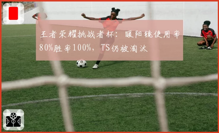 王者荣耀挑战者杯：暖阳镜使用率80%胜率100%，TS仍被淘汰