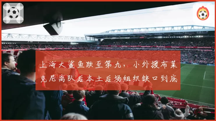 上海大鲨鱼跌至第九,小外援布莱克尼离队后本土后场组织缺口到底谁能补上?