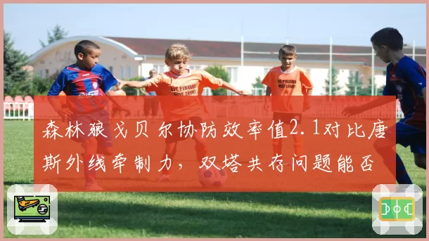 森林狼戈贝尔协防效率值2.1对比唐斯外线牵制力,双塔共存问题能否通过三分线调整解决?
