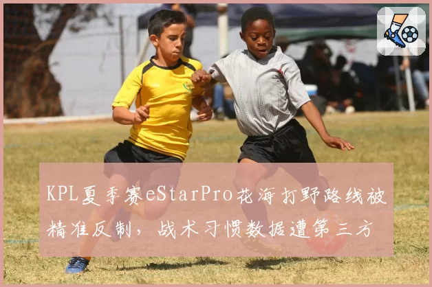 KPL夏季赛eStarPro花海打野路线被精准反制，战术习惯数据遭第三方平台售卖