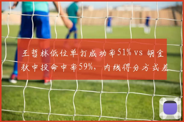 王哲林低位单打成功率51% vs 胡金秋中投命中率59%，内线得分方式差异如何左右转会市场