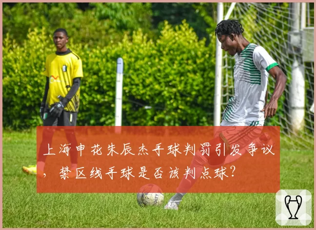 上海申花朱辰杰手球判罚引发争议，禁区线手球是否该判点球？