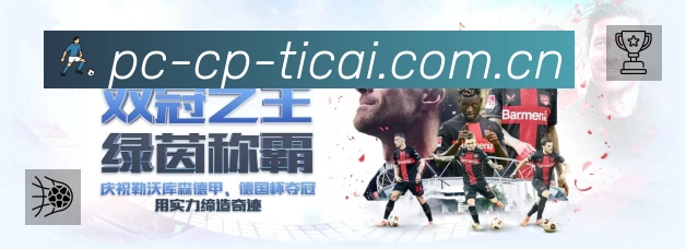 中国体彩安全运营支持